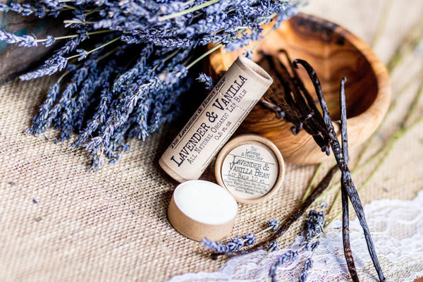 Lavender & Vanilla Bean Organic Lip Balm